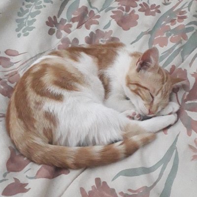 _valentinina's profile picture. ˖ ⁺ .  ༶  ⋆ ˙ ⊹ lo que está bien hecho no se va a romper
       🦋