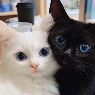 BJNT74's profile picture. 