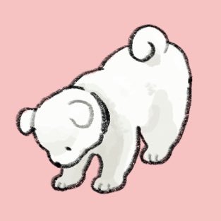 洗さんのプロフィール画像