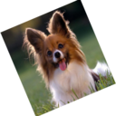 ..... melisa kaplan! - @senimelisa - Twitter