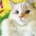 มูมิน มุมิน มินมิน (@minshawol_) Twitter profile photo มูมิน มุมิน มินมิน (@minshawol_) Twitter profile photo