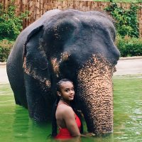 Kingdom Minded🤍 (@ihavenotwitname) 's Twitter Profile Photo Kingdom Minded🤍 (@ihavenotwitname) 's Twitter Profile Photo