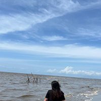 girliess (@velaeee) 's Twitter Profile
