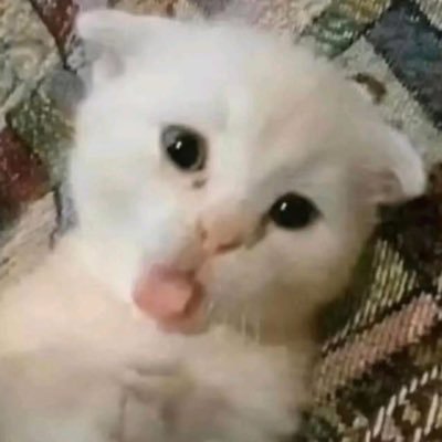 shahjee_here2's profile picture. Gamer