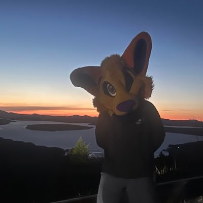 MaymooTheHusky's profile picture. 