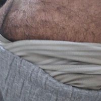 peludinho recife (@gordinhorecif) 's Twitter Profile