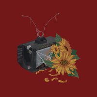 tef (@tefichigo57) 's Twitter Profile