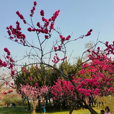 PhazeAli's profile picture. Undo!