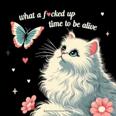 Wife, full-time mom ~ Love my family, music & animals ~ Animal advocate 🐾#MyBodyMyChoice #FooFighters
LGBTQIA Rights are Human Rights 🏳️⚧️🏳️🌈