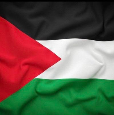 Muhammadmi73911's profile picture. 