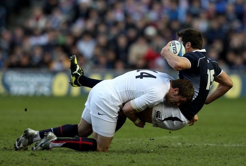 GSDABOVE's profile picture. 