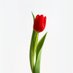 Muslimakhlaqi (@muslimakhlaqi2) Twitter profile photo Muslimakhlaqi (@muslimakhlaqi2) Twitter profile photo