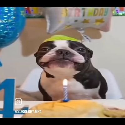 sakene_darya's profile picture. there is people in the world...