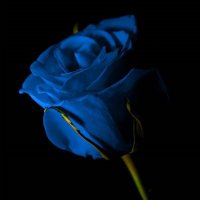 EdenofChaos (@edenofchaos) 's Twitter Profile Photo