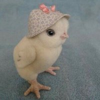 𓈊 (@roqayaz1_) Twitter profile photo