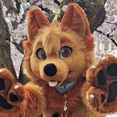 🎷Jas 🎷 🔜 Megaplex 2025さんのプロフィール画像