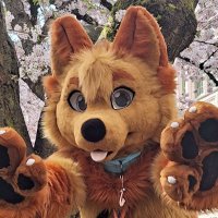 🎷Jas 🎷 (@thatmusicaldog) 's Twitter Profile