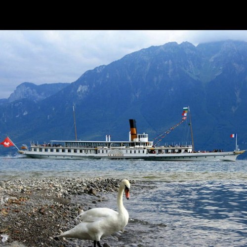 NassemaAlZaabi's profile picture. 