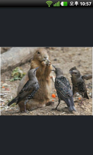 grenouille150's profile picture. 삶은 누구도 알 수 없는 것~