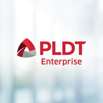PLDT Enterprise Profile