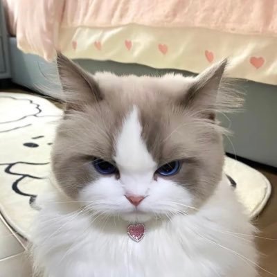 ウルソンさんのプロフィール画像