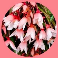 Kainós Owr (@kainosowr) 's Twitter Profile