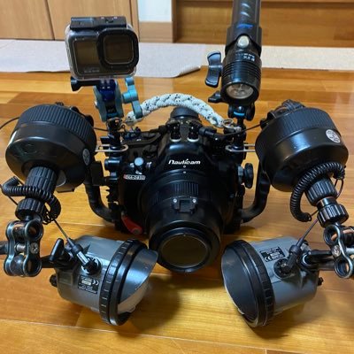 Bay Area Networks Inc. CEO / @iStock Creator / Underwater world / Seascape 🇯🇵 / #photo / #video / Real estate business (Coming soon)