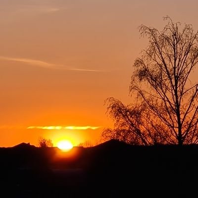 marto89719's profile picture. compte de secours, @janeMarton1 🌸
#BTS forever.  fan de k.pop .💜
milite pour la Paix dans le monde ☮️
peace and love.sur Twitter depuis 2016.
help x ??