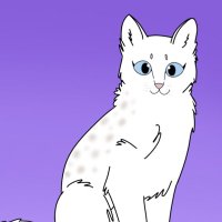 Berri_Cats (@berri_cats) 's Twitter Profile
