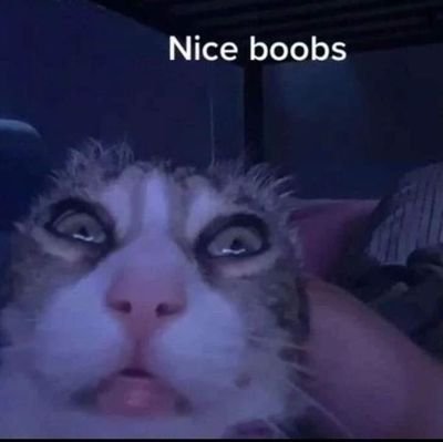 Brainnotfound6's profile picture. Here for the freaky shit
19, lesbian lady lover, nl