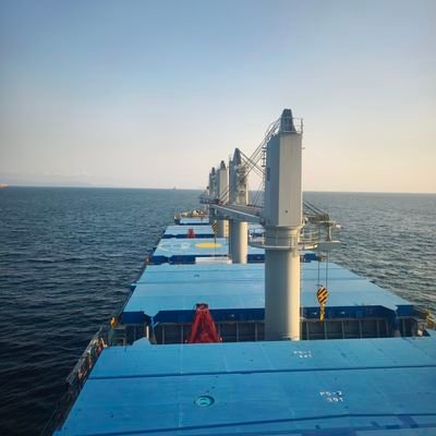 593489208Sunny's profile picture. 