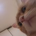 Noodlehead (@fuzzyorangegirl) Twitter profile photo Noodlehead (@fuzzyorangegirl) Twitter profile photo