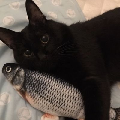 LiaPriv54480's profile picture. enche o cu de mitski e fica chorando