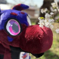 お花屋さん／トキシー NEXT→はつじゅー会 (@nanaka_115) Twitter profile photo