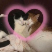 꾸빵 (@ppobb_) 's Twitter Profile Photo