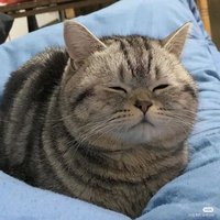 Mangoo (@mikanheli1910) 's Twitter Profile Photo Mangoo (@mikanheli1910) 's Twitter Profile Photo