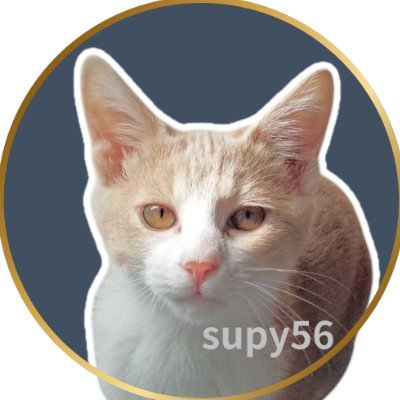 保護猫出身11ニャンに仕えています
/個人で去勢・避妊・治療等地域猫をお世話
/ちぃたん☆は心の栄養💪/猫・ちぃたん・音楽・食べるの大好き
/猫好きさん・ちぃたん☆好きさん無言フォロー歓迎です/無言フォローお許しくださいませ🙇