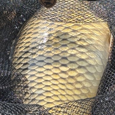 Mic596348092364's profile picture. 