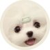 とうや (@_7zxxox) Twitter profile photo とうや (@_7zxxox) Twitter profile photo