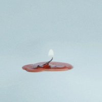 elpetitdecaleril (@petitdecaleril) 's Twitter Profile Photo elpetitdecaleril (@petitdecaleril) 's Twitter Profile Photo