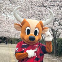 mii (@miihappy4) 's Twitter Profile Photo mii (@miihappy4) 's Twitter Profile Photo