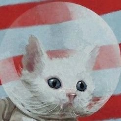 benniさんのプロフィール画像