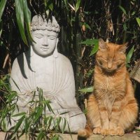 ☆ (@two5locks) 's Twitter Profile