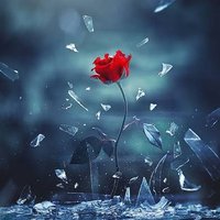 Shahin (@shahin_jahan24) 's Twitter Profile