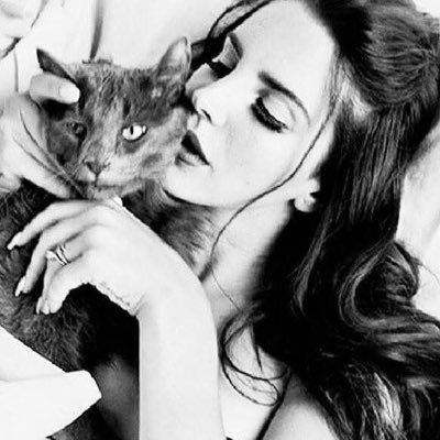 l0vsel's profile picture. 