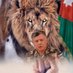 العجرمي 🇯🇴 (@ajrm_f16) Twitter profile photo العجرمي 🇯🇴 (@ajrm_f16) Twitter profile photo