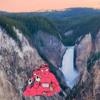 sarabellini's profile picture. 