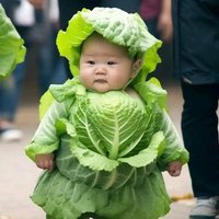 CABBAGE🧠 (@a_mresh1) 's Twitter Profile