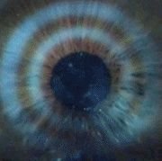 bullseyegatu's profile picture. “HELLO KAREN!”