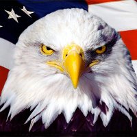 Montgomery Anderson (@montgcersons) 's Twitter Profile